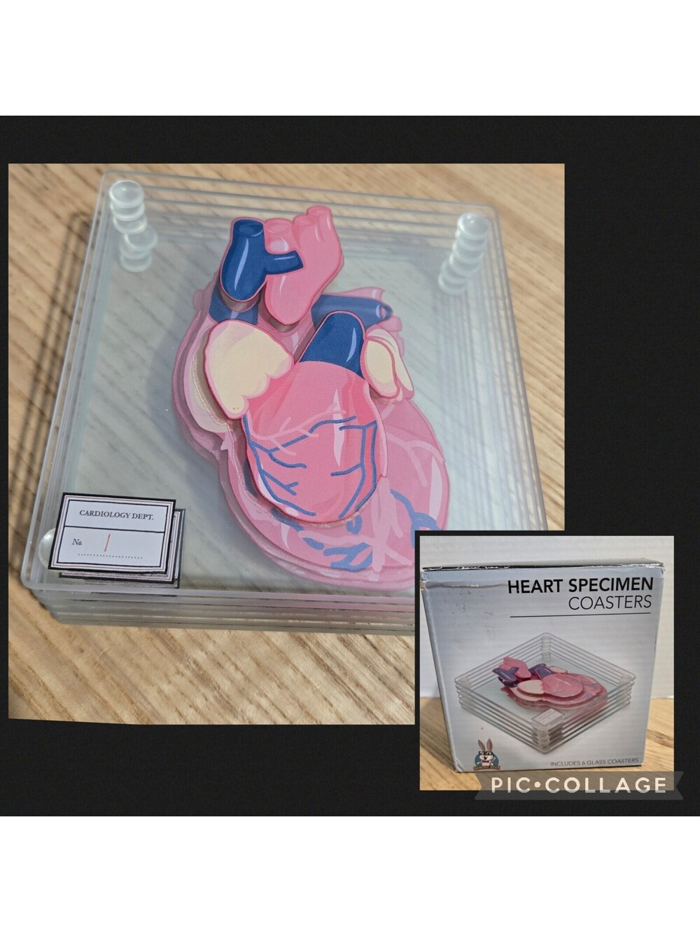 Heart Specimen Coaster Set of 6 Glass by Generix Geek Cardiology
